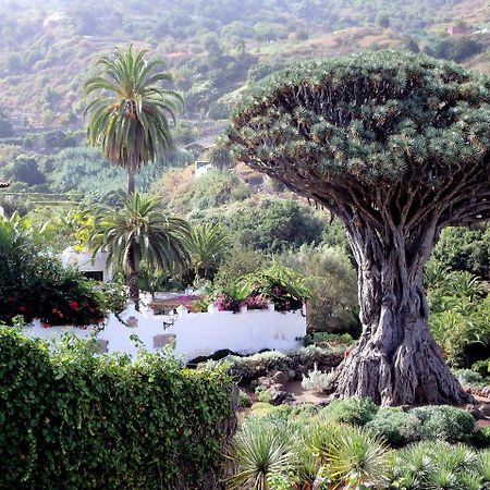 Penthouse El Rincon I Lägenhet Icod De Los Vinos Exteriör bild